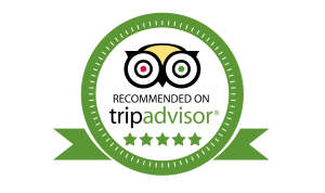 TripAdvisor reviews