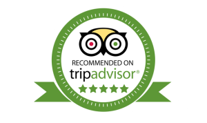 image-asset Medium TripAdvisor reviews